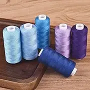 Embroidery Threads Embroidery Threads 6 Roll/Set 400 Yards Sewing Thread Machine Hand Embroidery Good Polyester Thread Strong Durable for Needlework DIY Sewing Repair.