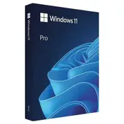 Microsoft HAV-00163 Windows 11 Professional 64-bit Retail Edition USB Flash Drive