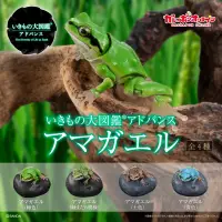 在飛比找蝦皮購物優惠-萬代 BANDAI GASHAPON 生物大圖鑑 Ultim