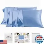 PROMEED 100% Mulberry Silk Pillowcase Set of 2, Both Sides Natural Silk Pillo