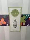 Be jolly Santa Scentsy Be Jolly Santa Mini Warmer - Holiday Collection NEW