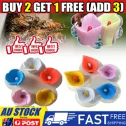 Bee Insect Drinking Cup, Thirsty Pollinators Need Safe Places to Drink, Bee CuCE