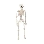 170cm Halloween Poseable Skeleton Full Life Size Human Skeleton Decoration