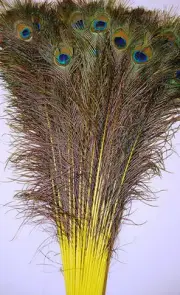 50 Pcs DYED PEACOCK Feathers 30-35" YELLOW; Crafts/Art/Dress/Bridal/Costume