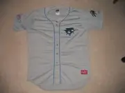 Clearwater Threshers Minor League Baseball Jersey Rawlings 48 Florida MiLB Gray