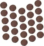SUPVOX 1 Ceramsite Rock Small Ceramsite Succulent Dirt for Plants Indoor Cactus for Indoor Plants Gardening Potted Balls Plant Decor Plants Stone Mix Bonsai Stones Clay