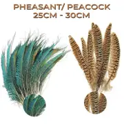 10x Natural Pheasant/Peacock Tail Feathers Arts Crafts Costume Wedding Decor