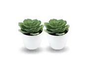 Artificial Succulent Plant 10Cm 2Pc Fake Succulent Plant In Mini Pot Home Decor Office Decoration Bookshelf Desk High Quality Pot