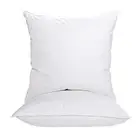 18"x18" Pillow Inserts Soft Feather Pillow Set of 2 Indoor Decorative Sofa Do...