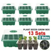 13PCS Seed Tray Propagation Trays Plant Seeds Grow Box Nursery Seedling Starter
