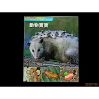 在飛比找蝦皮購物優惠-【9九 書坊】親親自然 動物寶寶│幼稚園課本 親近自然 享受