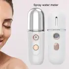 20ml/30ml Face Steamer Mini Moisturizing Face Water Replenishing Instrument Hand