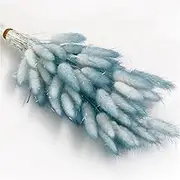110Pcs 50cm/19.6in Boho Room Decor, Gradient Rabbit Tail Dried Flower Bunch Natural Bunny Pampas Grass Real Bouquet for Photo Prop Home Wedding Party Decoration(C)
