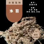 園藝土壤介質{ 水苔}200克 現貨 智利水苔 水草 鹿角蕨 蘭花 龜背芋 觀葉植物 室內植物 (已泡開,曬乾,去除大