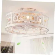 Caged Ceiling Fan with Light and Remote, 16in Small Low Profile Fan with 6
