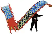 Outdoor Flinging Dragon Dance Swing Wide Ribbon Sports Fitness Dance Streamer Folk Dance Dragon for Holiday Decoration Fitness