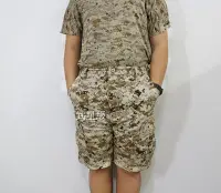 在飛比找Yahoo!奇摩拍賣優惠-台南 武星級 休閒褲 短褲 數位沙漠 (運動 登山 旅遊 迷