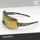 ADISI 太陽眼鏡 AS23023 / 透明霧綠框 (茶色片) + 金色REVO鍍膜