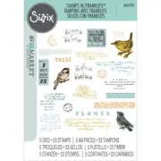 Sizzix Clear Stamps Set w/ Framelits Die Set – Bird Song by 49 and Market 666704