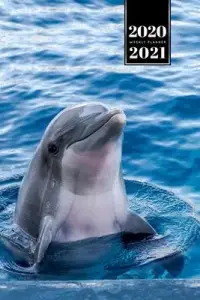 在飛比找博客來優惠-Dolphin Beluga Whale Porpoise 