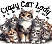 CRAZY CAT LADY TIGER CATS COMPUTER MOUSE PAD 9 X 7