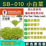 【萬樹種子】SB-010 小白菜 貝比菜系列 特選蔬果種子 農友種苗 彩色密封 原廠包裝