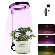 Ground-plugged Plant Light Timable Dimmable an Ring Full Spectrum Imitation Sunlight Succulent Pot Grow Light Fill Lights 7