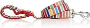 DOOG’s Neoprene Padded Lead with Soft Handle – Durable with Comfortable to use for Running, Hiking, and Walking with Your Dog (Scooby, Extra Large)
