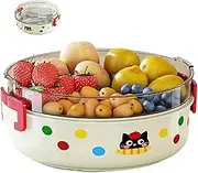 Fruit Platter Tray for Parties - Snack Tray Organizer Platter with Lid - Double Layer Food Storage Organizer, Plate Box Snack Containers for Home, Beach, Picnic, Camping