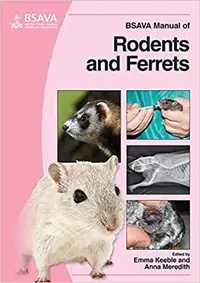 在飛比找誠品線上優惠-BSAVA Manual of Rodents and Fe