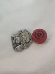 Natural Holey Beach Rock Hag Stone Fairy Wish Mystical