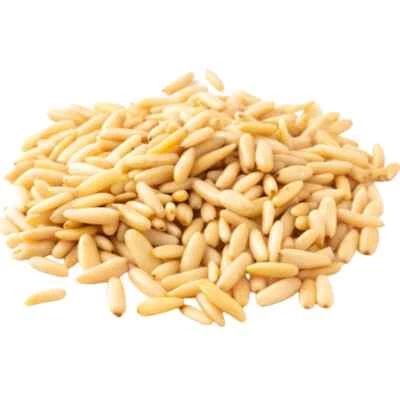High Quality Pine Nuts/Ready to Cook/ Edible/450 gramsصنوبر عالي الجودة