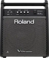 在飛比找Yahoo!奇摩拍賣優惠-三一樂器 Roland PM-100 電子鼓音箱