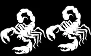 Scorpion Rendering 2 Vinyl Decal Car Truck Tablet Laptop Window Tumbler Notebook