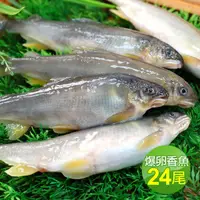 在飛比找momo購物網優惠-【築地一番鮮】宜蘭大尺寸爆卵香魚24尾組(12尾/盒 共2盒