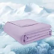 HOMELYSIAN Cooling Comforter Queen Size 90" x 90", Cooling Blankets for Hot Sleepers, Lightweight Comforter for Summer, Lavender
