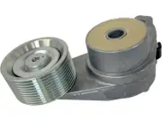 54WS34Y Accessory Belt Tensioner Fits 2003-2009 Volvo VNM 12.1L 6 Cyl (for: Volvo)
