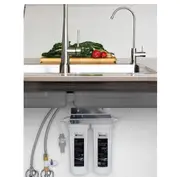 Puretec TS200 High Loop Designer Faucet With Dual Filter system 0.5 Micron 4 Lpm