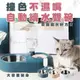 【宅鋪子】撞色不濕嘴自動蓄水雙碗 寵物用品/寵物碗/飼料碗/寵物喝水/自動蓄水碗/貓碗/狗碗