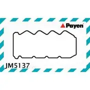 Payen Rocker Cover Gasket - JM5137
