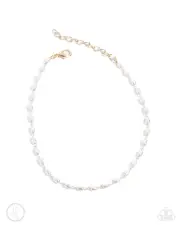 Paparazzi Beautiful Set of 5 Anklets NWT