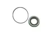 9 inch Diff Ford Nine inch Centre Pinion Seal Oil Seal Kit SCW