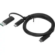 Lenovo ThinkPad Hybrid USB-C Cable with USB-A Converter - 03X7470 - SC10Q13458