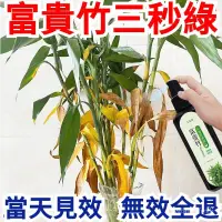 在飛比找蝦皮購物優惠-【一噴綠】富貴竹 專用 營養液 轉運觀音 竹子 水培 土培 