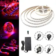 DC12V 5M Non-waterproof SMD5050 R:B 3:1 Grow LED Strip Light + 5A Power Adapter + Female Connector 7184 EU PLUG