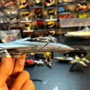 1:100 F-14B MaleCat Fighter Metal Model Wing Variable Black Pirate Flag Painting