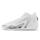 Nike 籃球鞋 Jordan Tatum 1 TB PF Pure Money 全白 白 男鞋 FQ1304-100