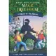 Night of the Ninjas (Magic Tree House, No. 5)