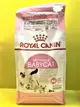 ✪四寶的店n✪附發票~法國 皇家➤BC34 離乳貓專用 4公斤/包➤2公斤 ROYAL CANIN 貓 飼料 乾糧 懷孕母貓 1-4齡幼貓