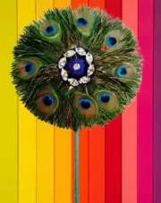 Natural Peacock Auspicious Mor Pankh Real Peacock Feather Tail Home Lord Krishna